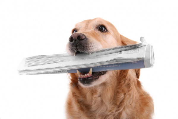 В Севастополе ввели более 250 тысяч квадратных метров жилья с января