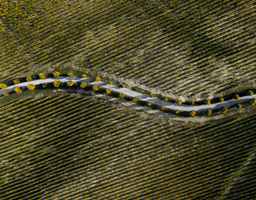 Стармер: страны Запада решили не создавать новый план по Украине