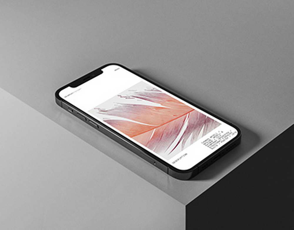 Рекап Web Shop Arena перед финалом. Смотрим, как проходил конкурс