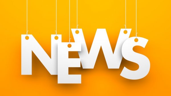 Участник СВО создал семью в Стародубе